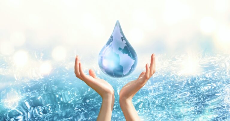 Read more about the article 6 Tips For Water Conservation with Efficient Plumbing in Wellen Park
